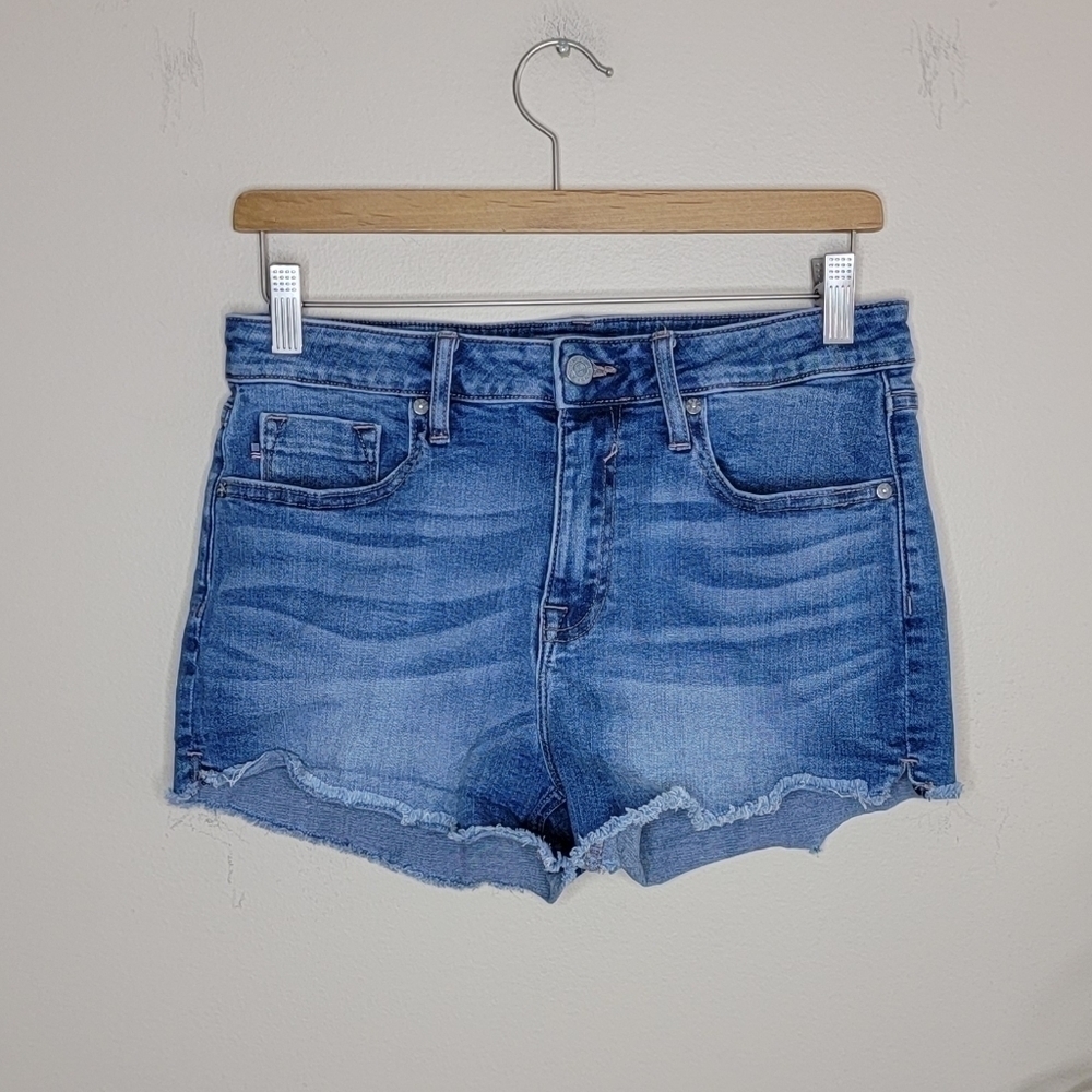 Vigoss | Jagger Raw Hem High Rise Denim Jean Shorts
